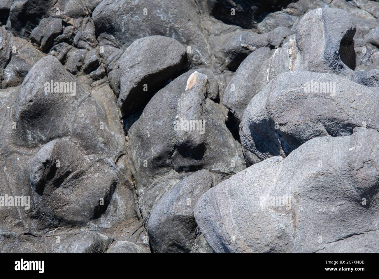 Closeup overhead shot fresh hi-res stock photography and images - Alamy
