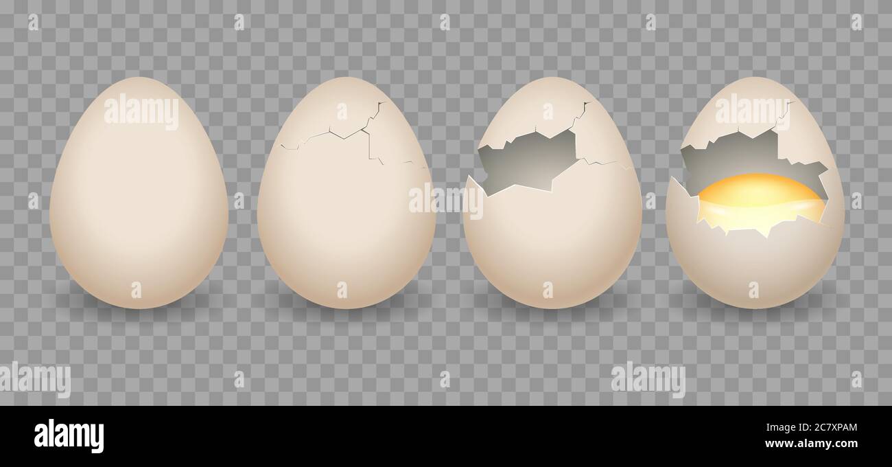 Realistic cracked eggs Stock Vector