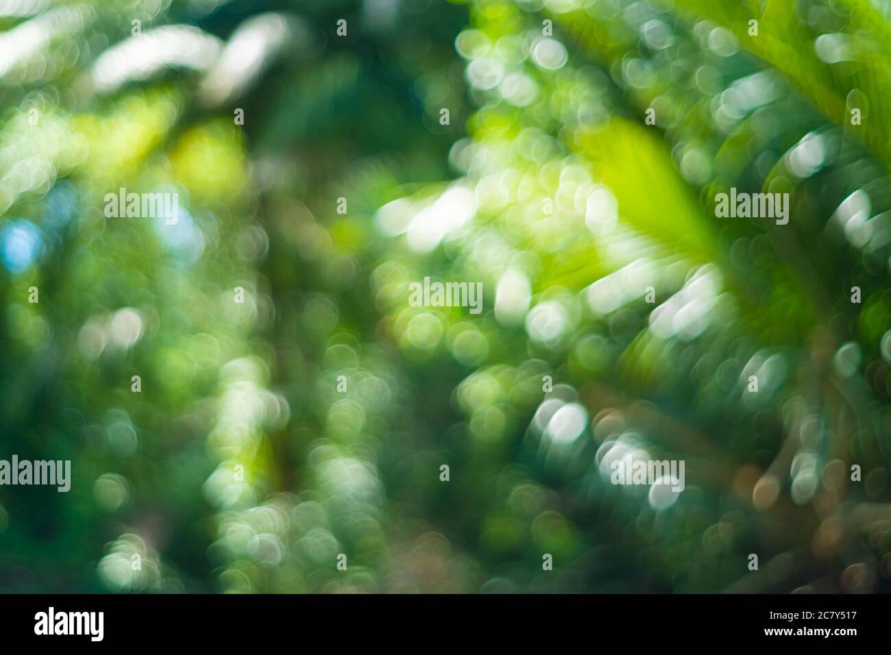 Road blur leaf background hi-res stock photography and images - Page 3 -  Alamy