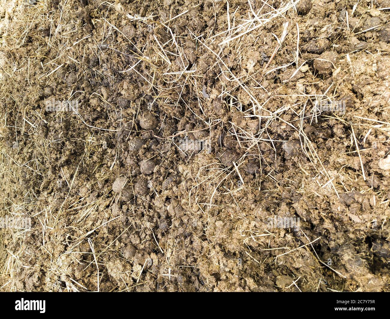 Horse dung mixed with hay and sawdust Stock Photo Alamy