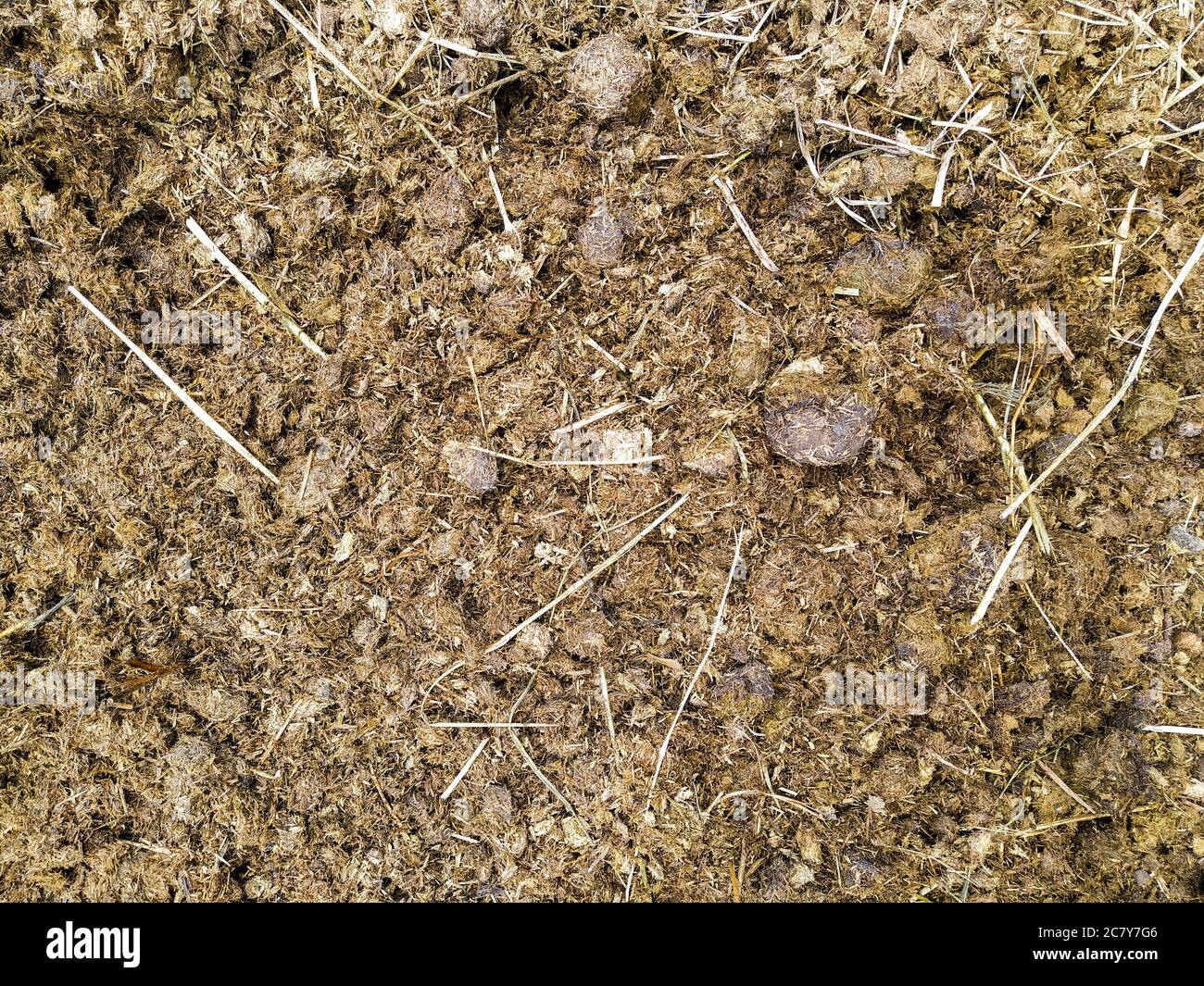 Horse dung mixed with hay and sawdust Stock Photo Alamy
