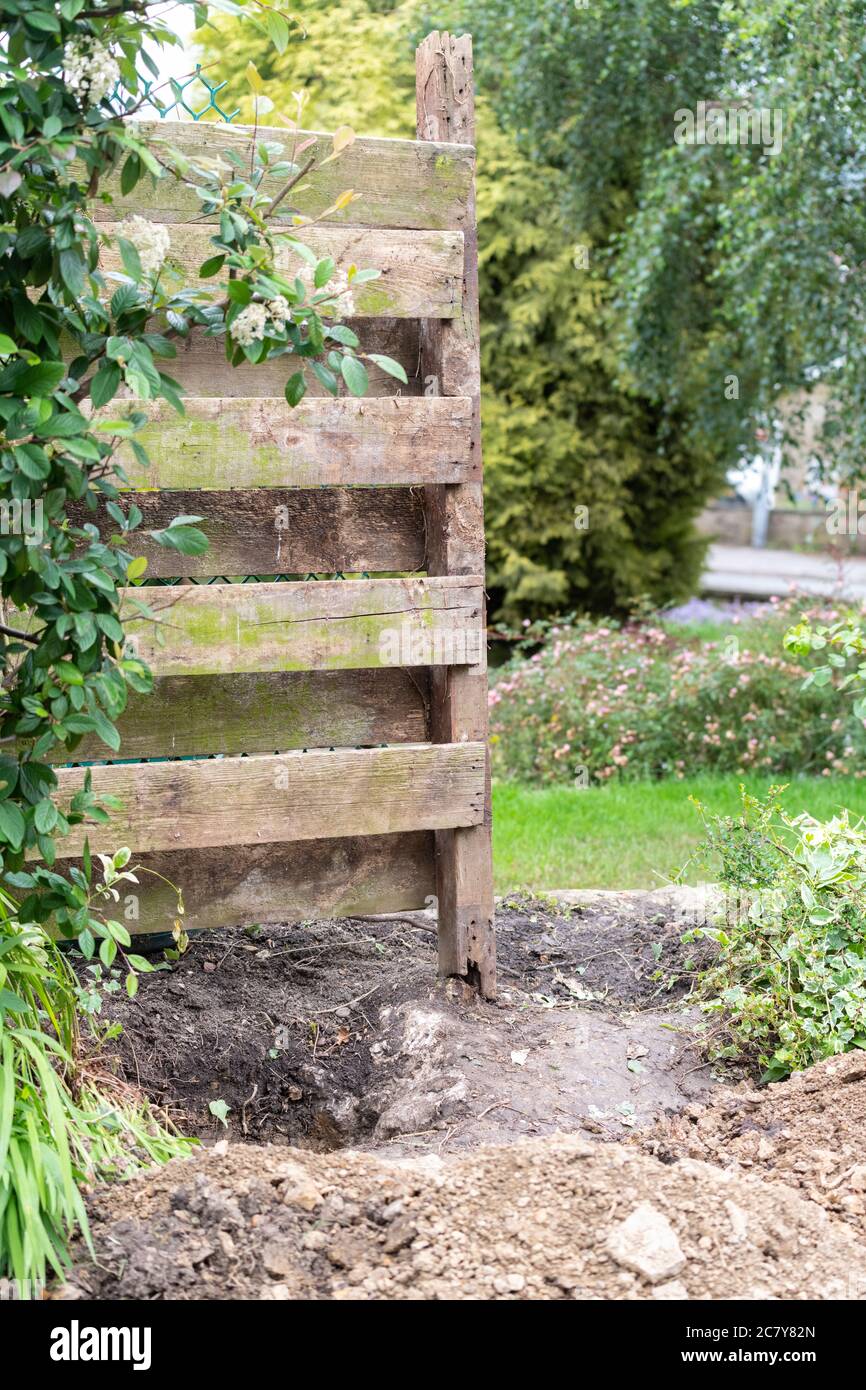 remains of rotten wooden garden fence that has blown down in high winds awaiting repair in uk garden.  Hole partially dug for replacement post Stock Photo