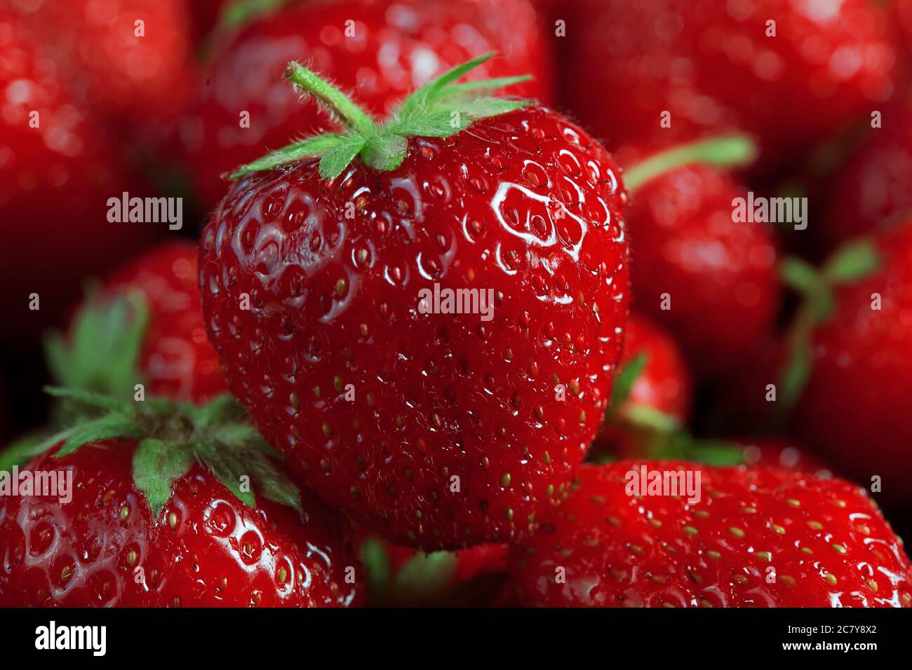 big fresh ripe strawberry macro photo against many blurred strawberries ...