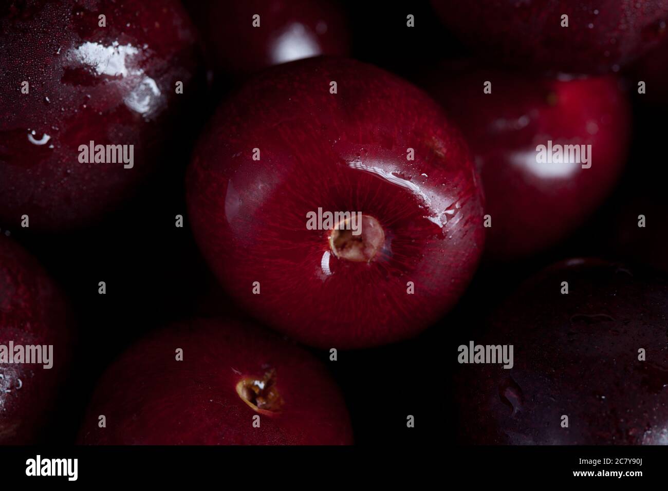 big fresh ripe black cherry macro photo against many blurred sweet cherries background, nobody Stock Photo