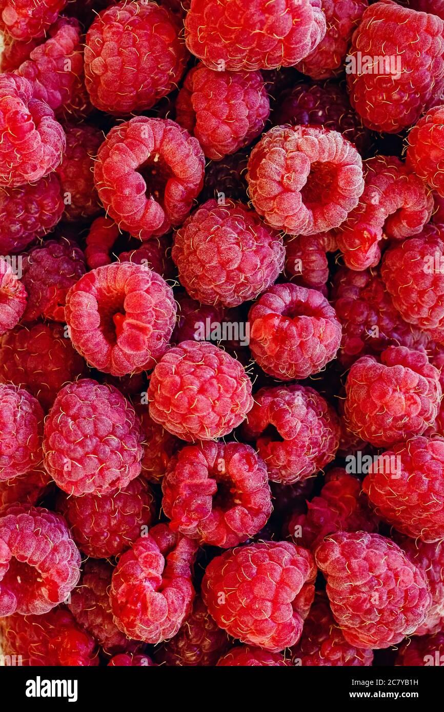 Fresh ripe raspberries close-up. Stock Photo