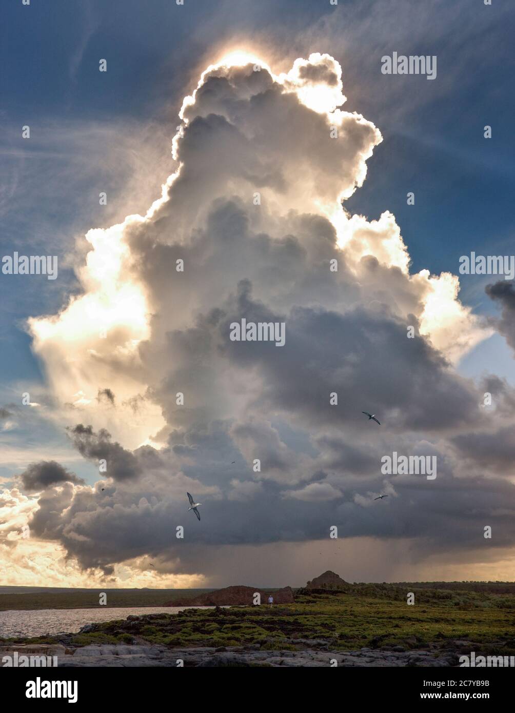 Dramatic cloud - Cumulonimbus thunder cloud over South Plaza Island in The  Galapagos Islands Stock Photo - Alamy