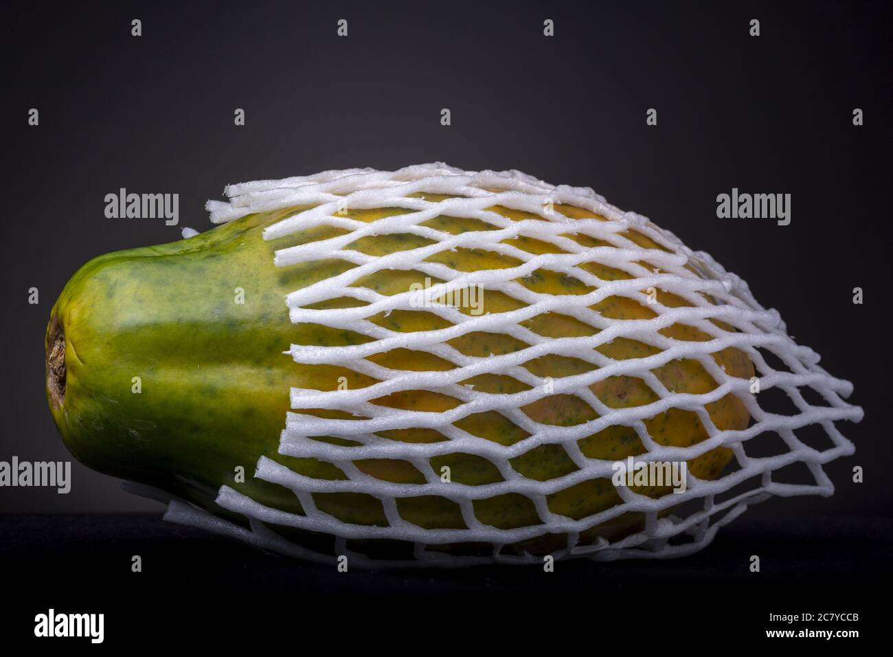 Large red papaya tropical fruit wrapped in protective foam Stock Photo