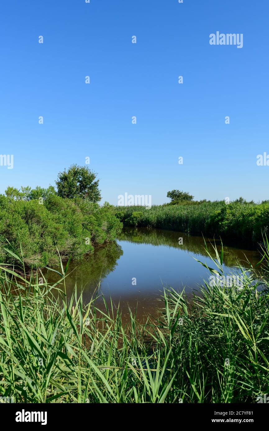 Arcachon Bay, France. The river Leyre, also called the Little Amazon Stock Photo