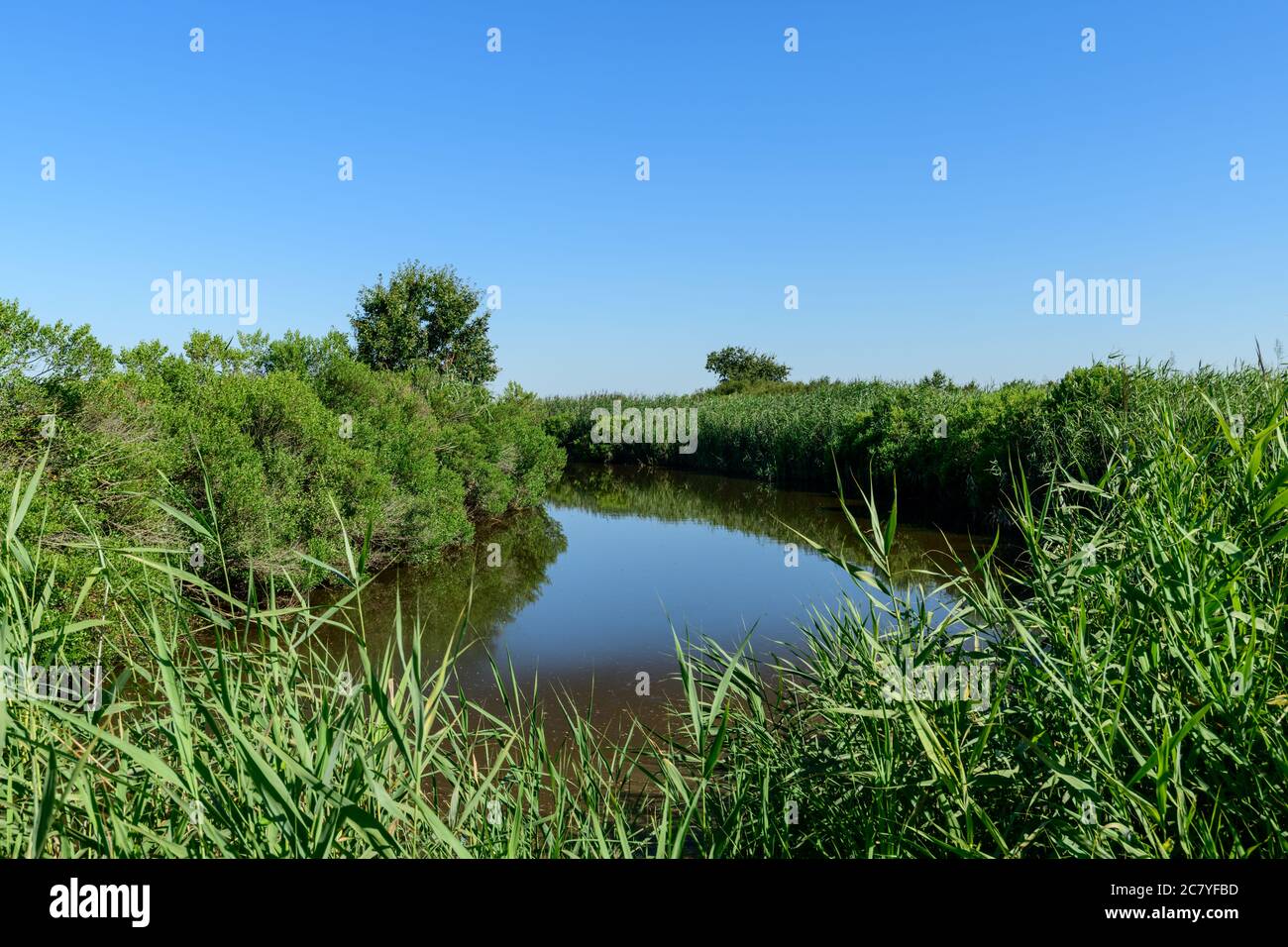 Arcachon Bay, France. The river Leyre, also called the Little Amazon Stock Photo