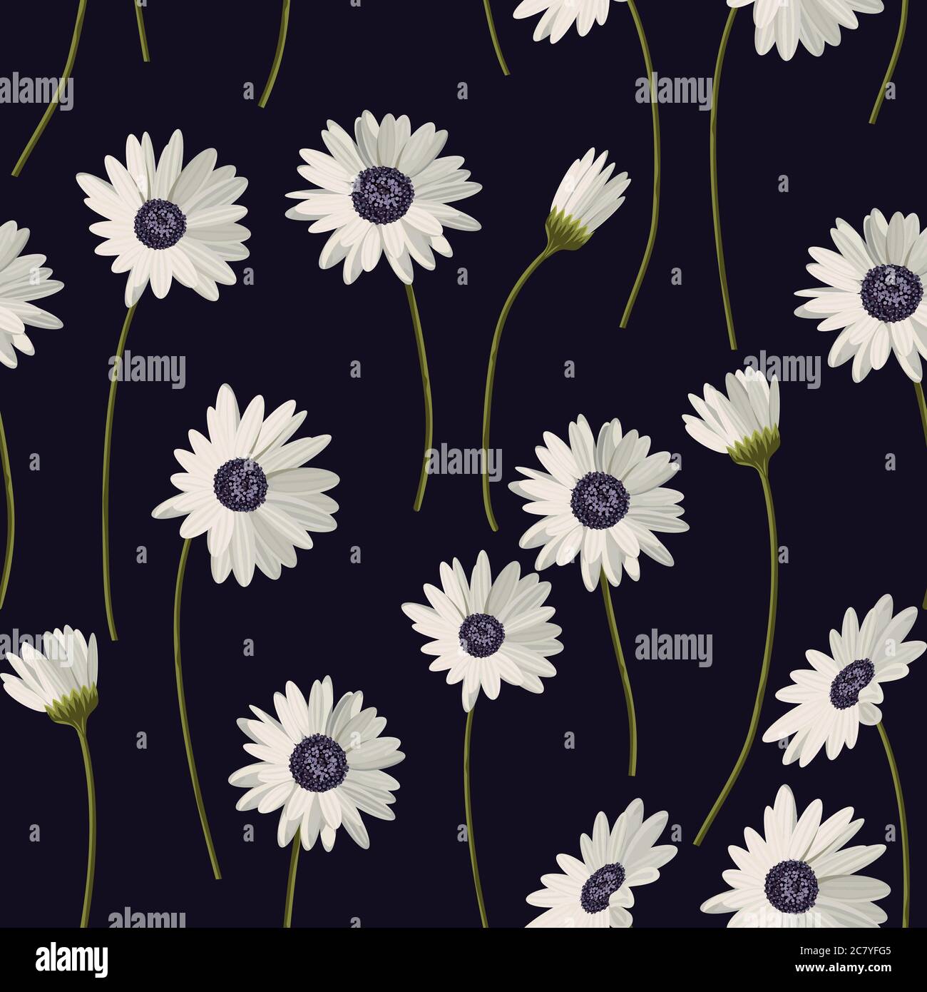 Seamless pattern with white daisies on black background. Vector ...