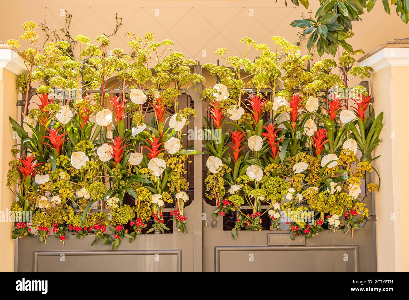 Farewell to spring flowers hi-res stock photography and images - Alamy
