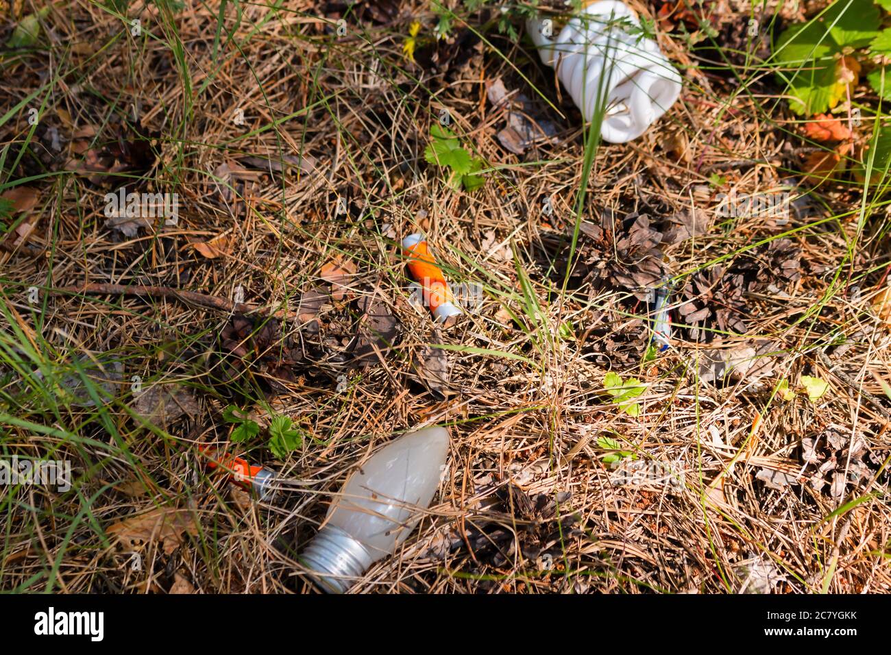 hazardous waste light bulbs and batteries thrown in the woods Stock