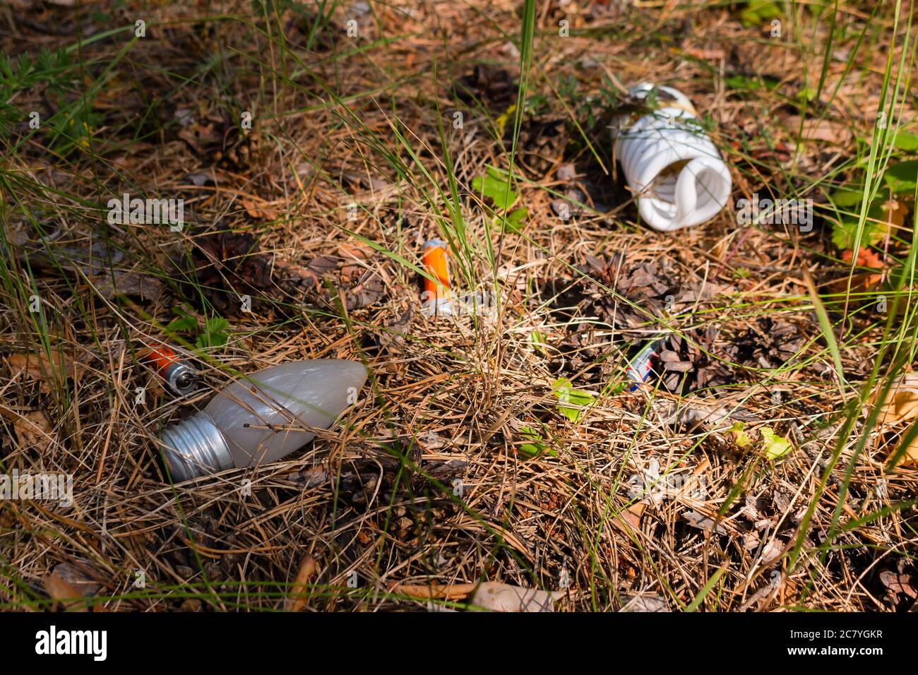 Dump dangerous garbage in the woods Stock Photo Alamy
