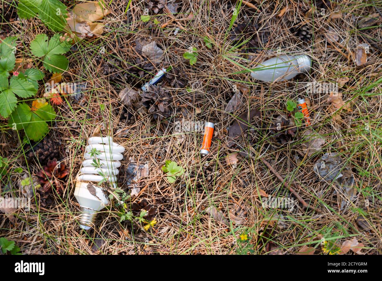 Light bulb and batteries dangerous garbage in the forest