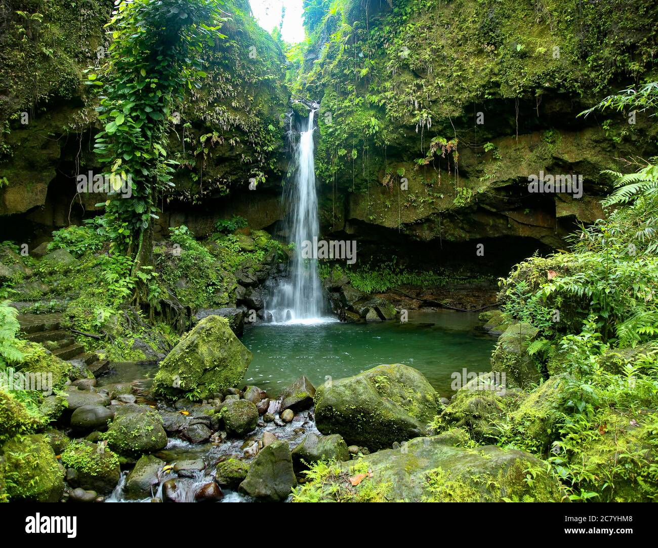 Emerald Pool waterfall in Dominica Stock Photo - Alamy