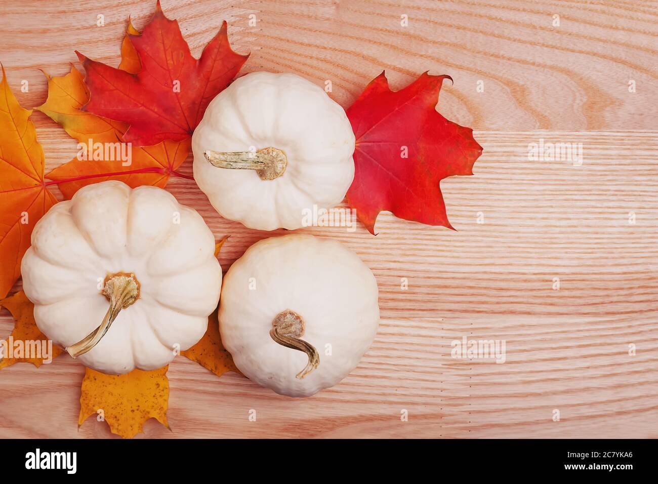 Small white pumpkins and autumn leaves Stock Photo - Alamy