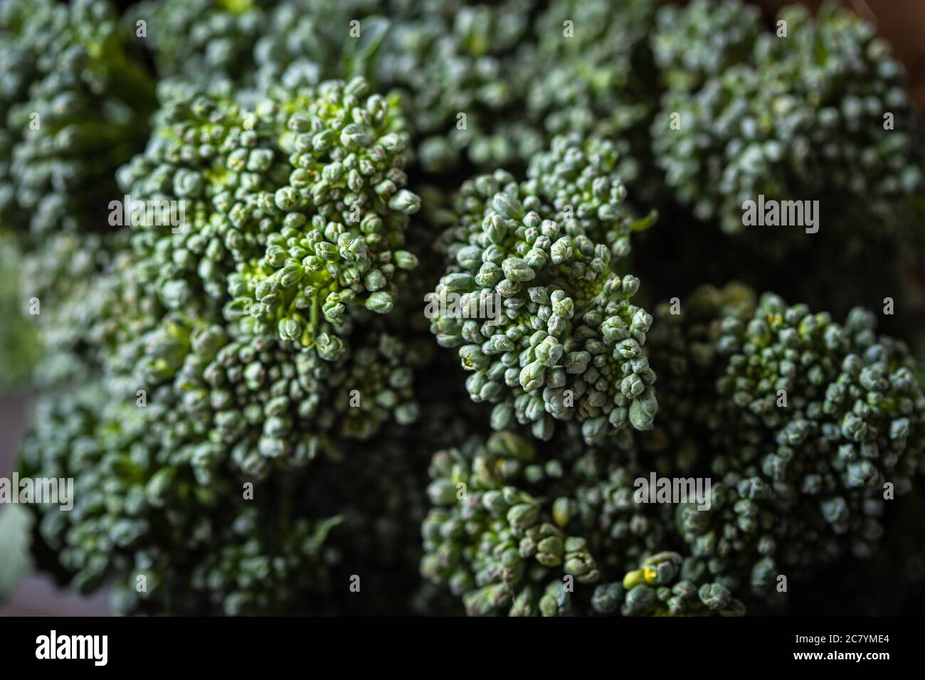 Bunch of broccolini. Close up view. Stock Photo