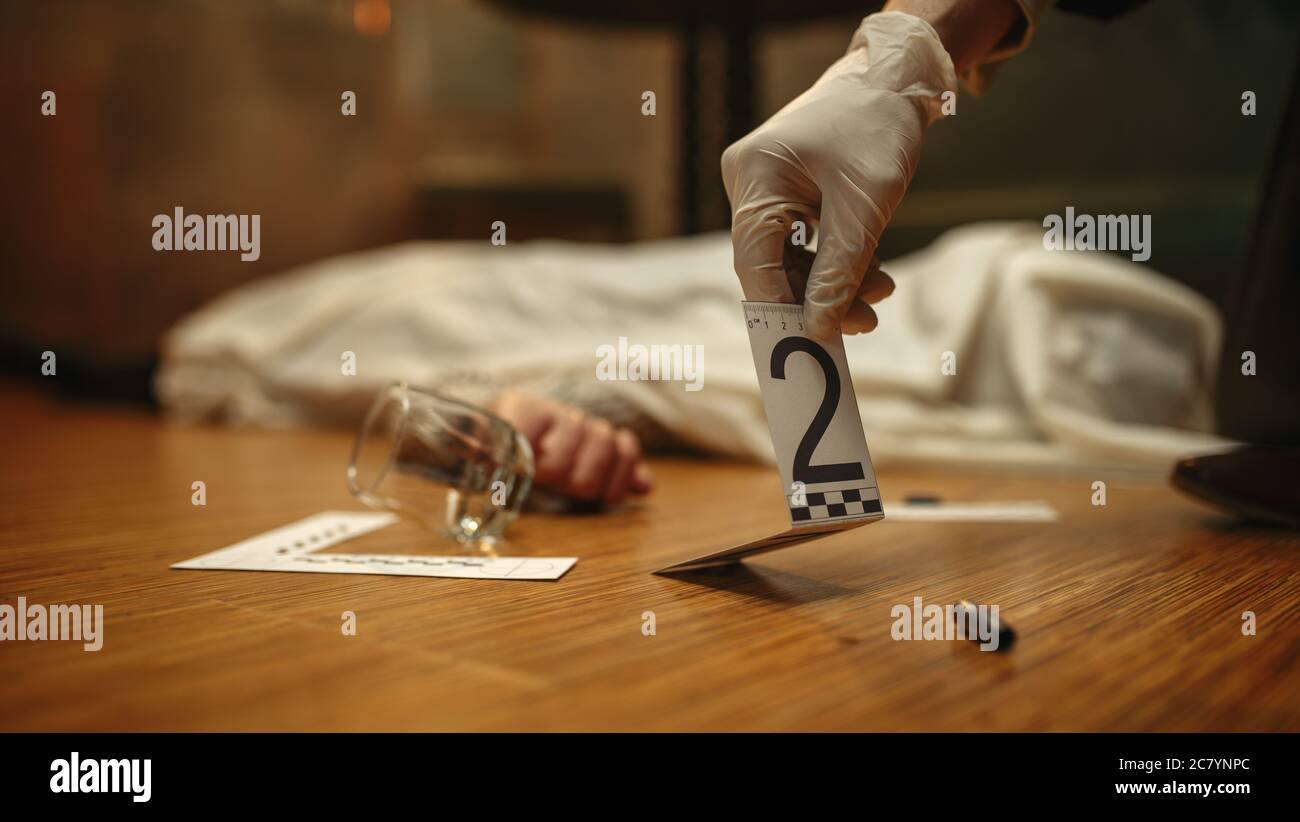 Detective in gloves looking evidence, crime scene Stock Photo Alamy