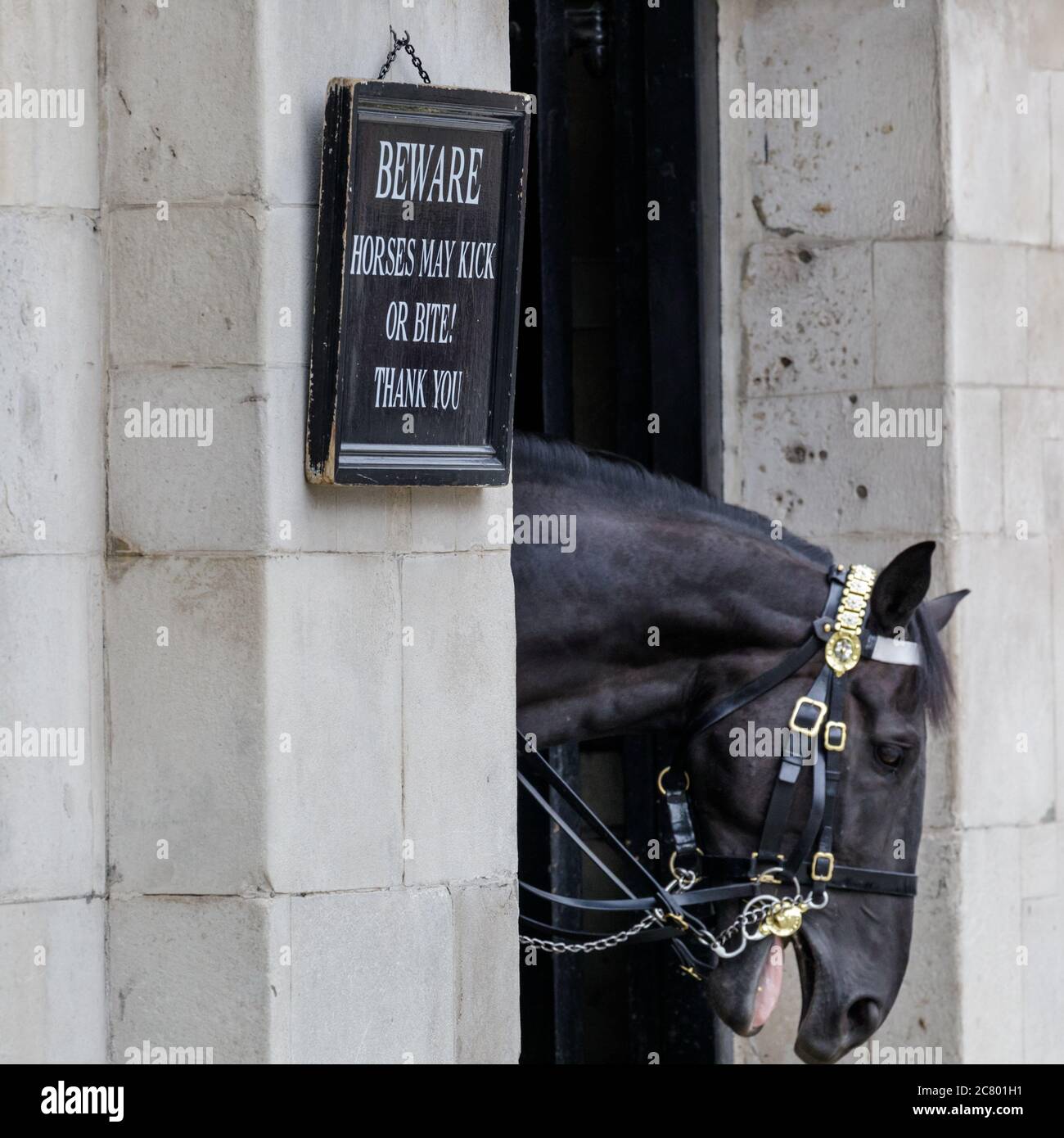 Targa In Metallo Vintage “Be Aware Horses May Bite Or Kick” – Cartello Decorativo Rustico 30,5x20,3 Cm Per Stalla, Fattoria, Casa E Ufficio