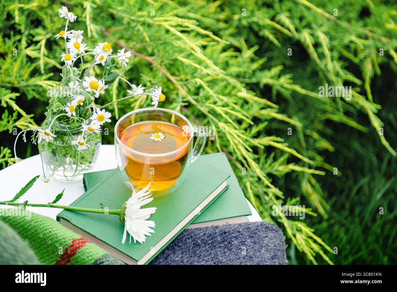 Glass cup of herbal tea with chamomile flower on books, warm green ...
