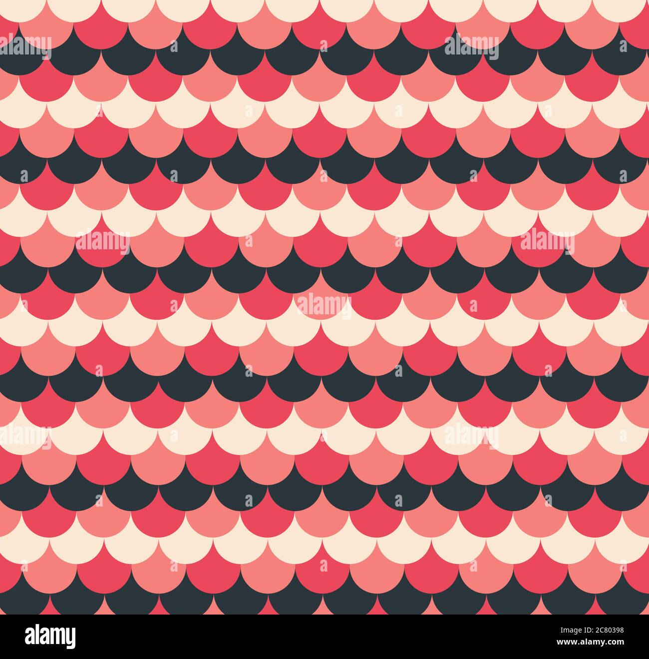Colorful scallop pattern vector illustration design.Seamless vector