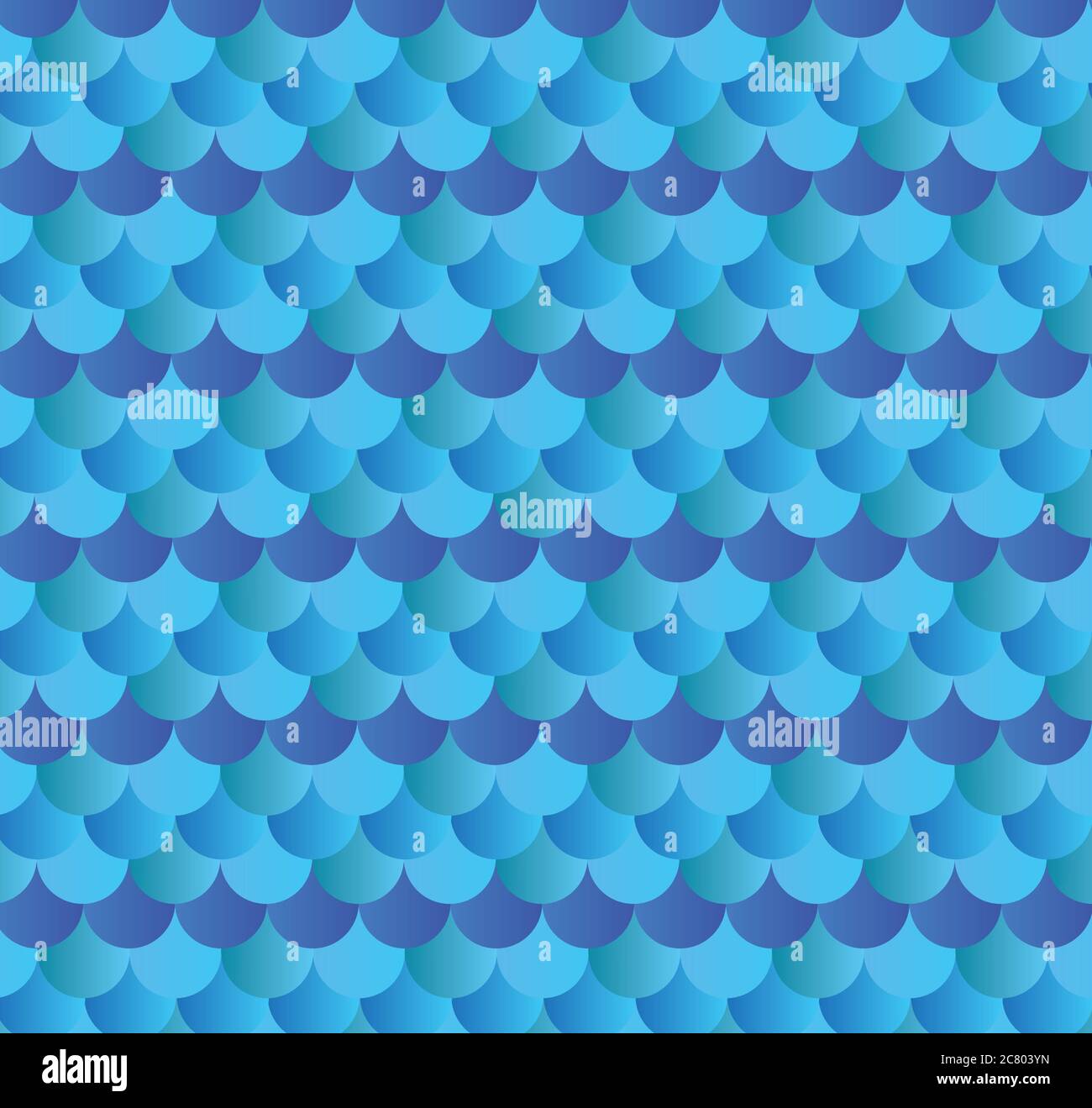 Scallop pattern vector illustration design.Blue seamless vector pattern