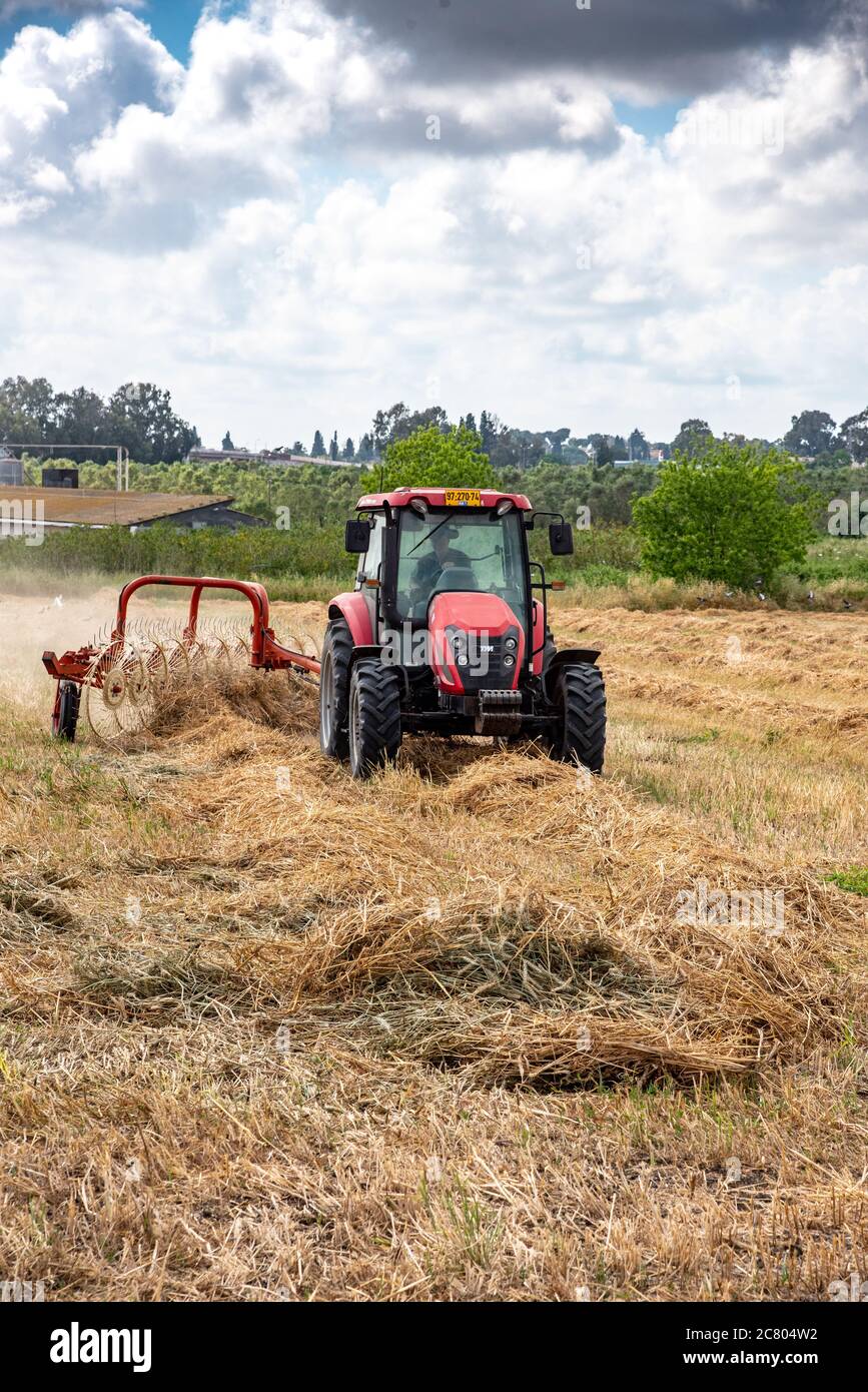 Farmer on a tractor is turning hay for better drying before bailing Stock Photo