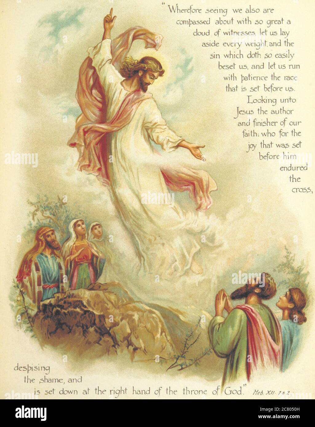 EPISTLE TO THE HEBREWS visual data 8