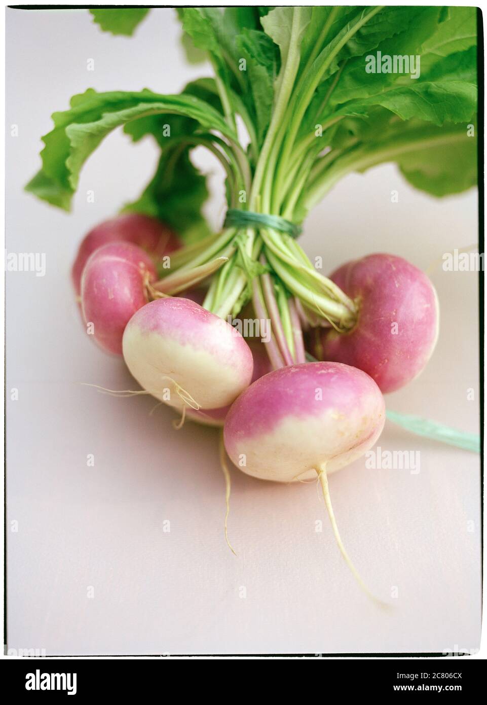 Baby turnips tied in a bunch Stock Photo