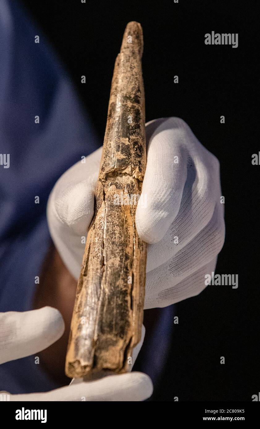 Prehistoric museum of blaubeuren hires stock photography and images