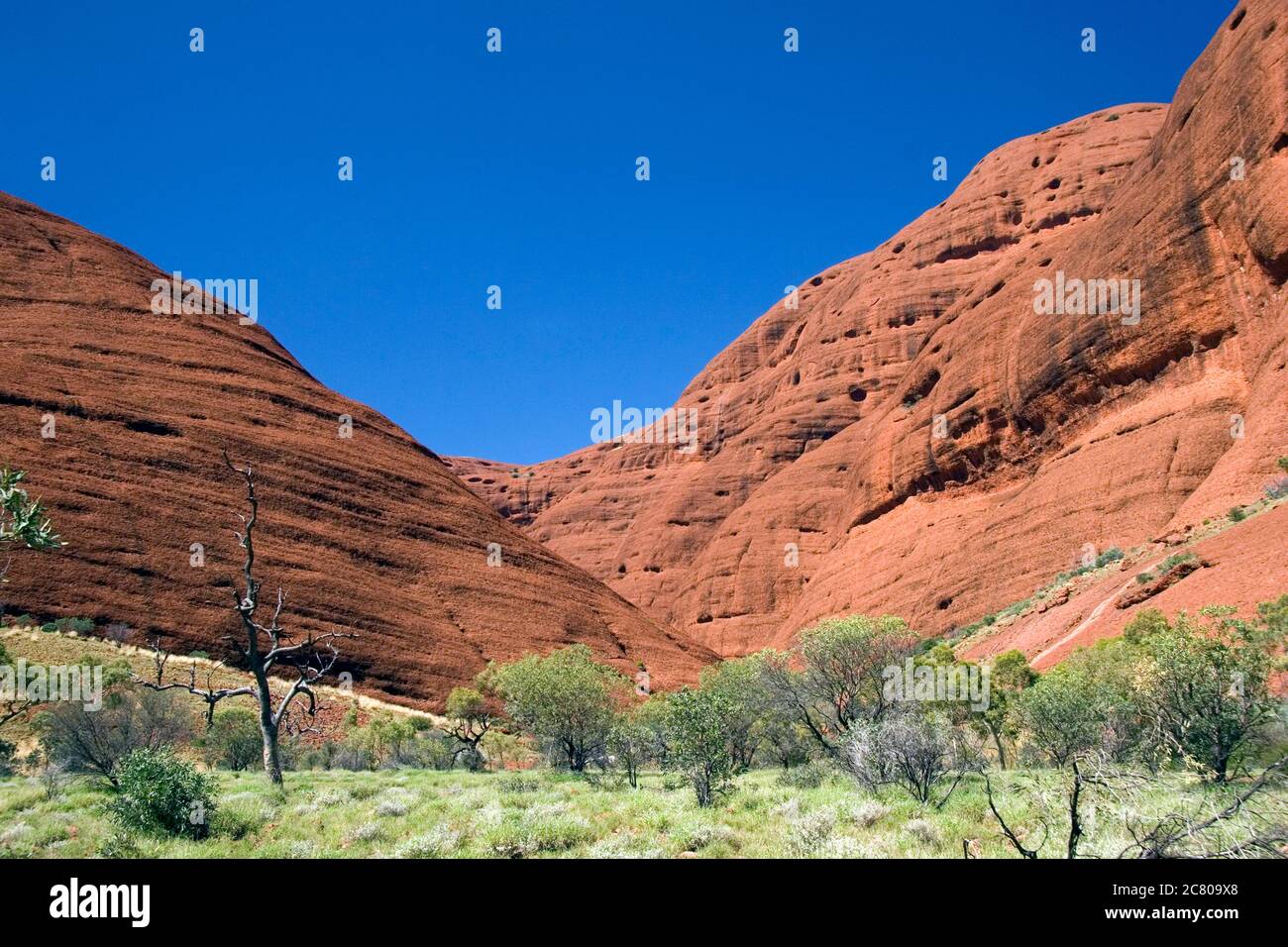 View of the towering Kata Tjuta (The Olgas) rock formations at Uluru - Kata Tjuta National Park, Australia Stock Photo