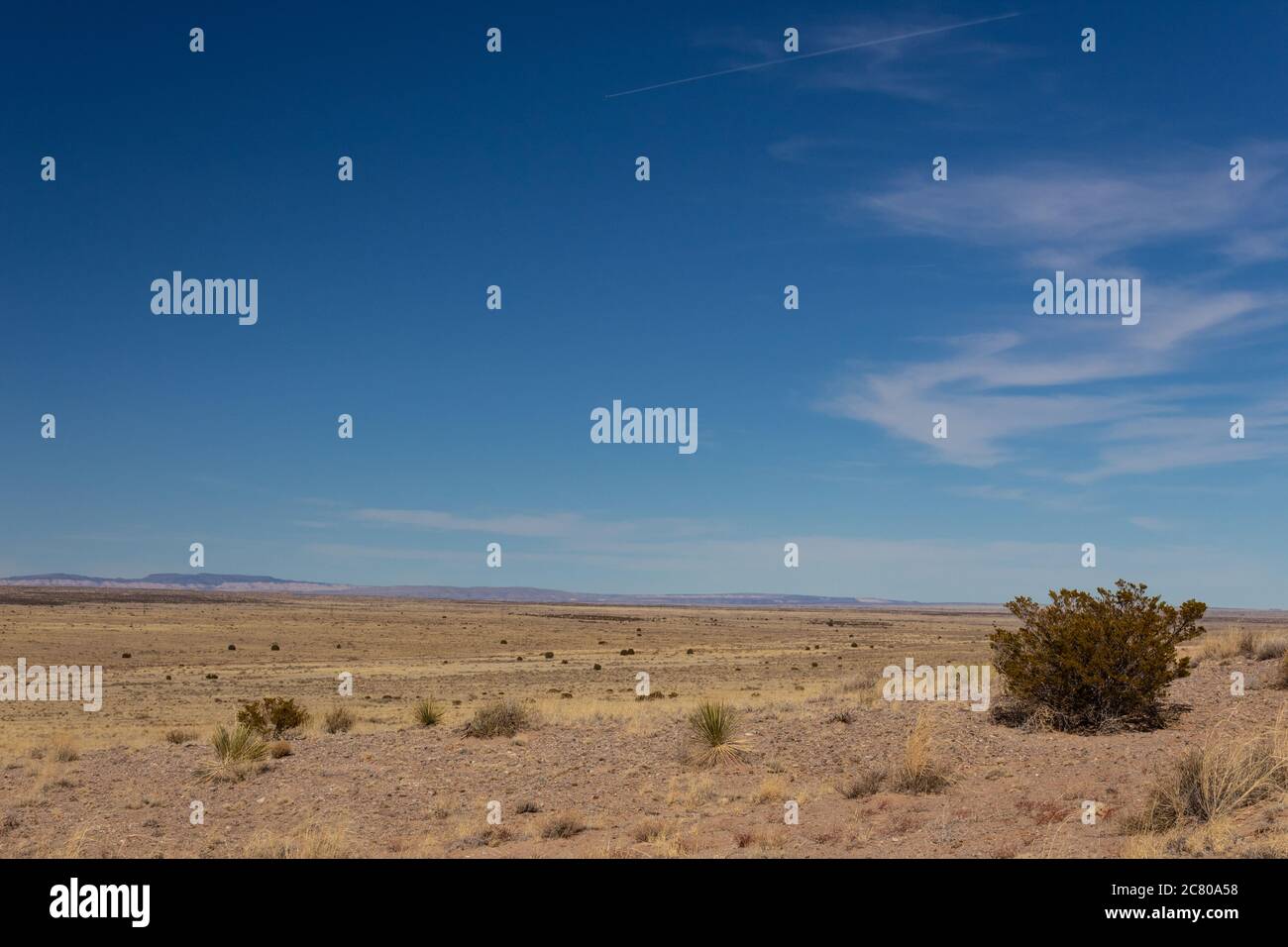 Sevilleta national wildlife refuge hi-res stock photography and images ...