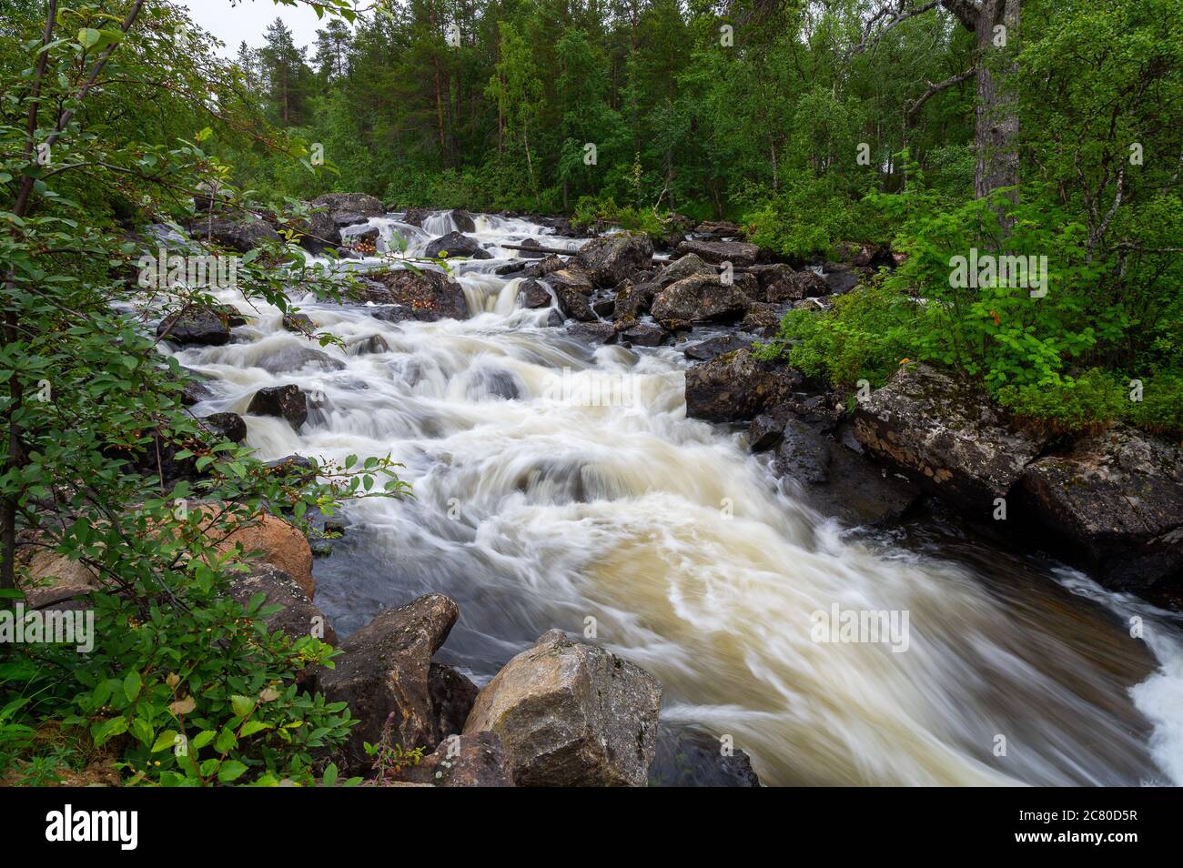 A beautiful scene of a small stream with white waters photographed in the Lapland wilderness. Stock Photo