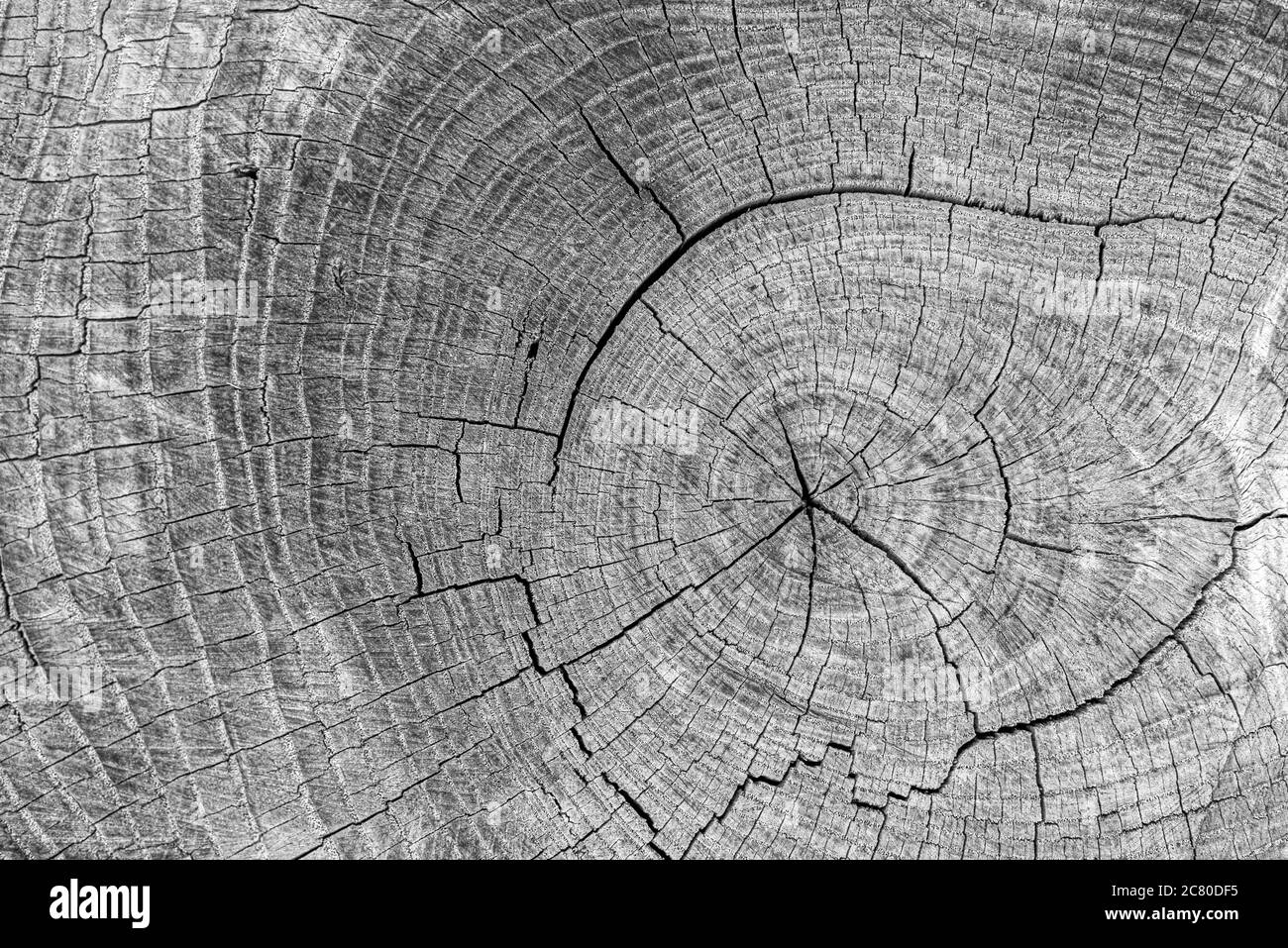 Old Wooden texture Stock Photo Alamy