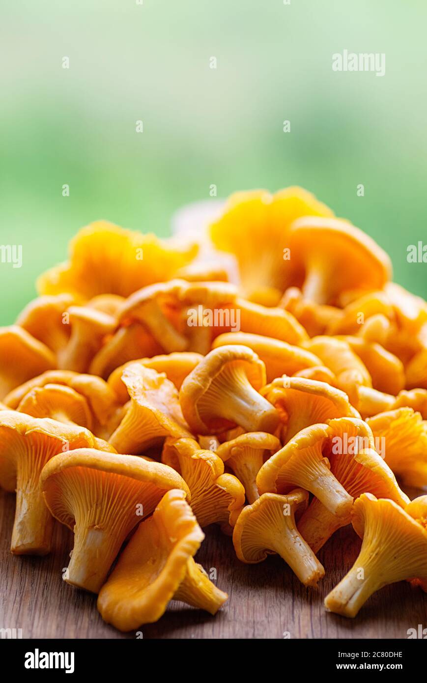 Chanterelle mushrooms. Organic Fresh chanterelle on a table. Selective focus. Close up. Stock Photo