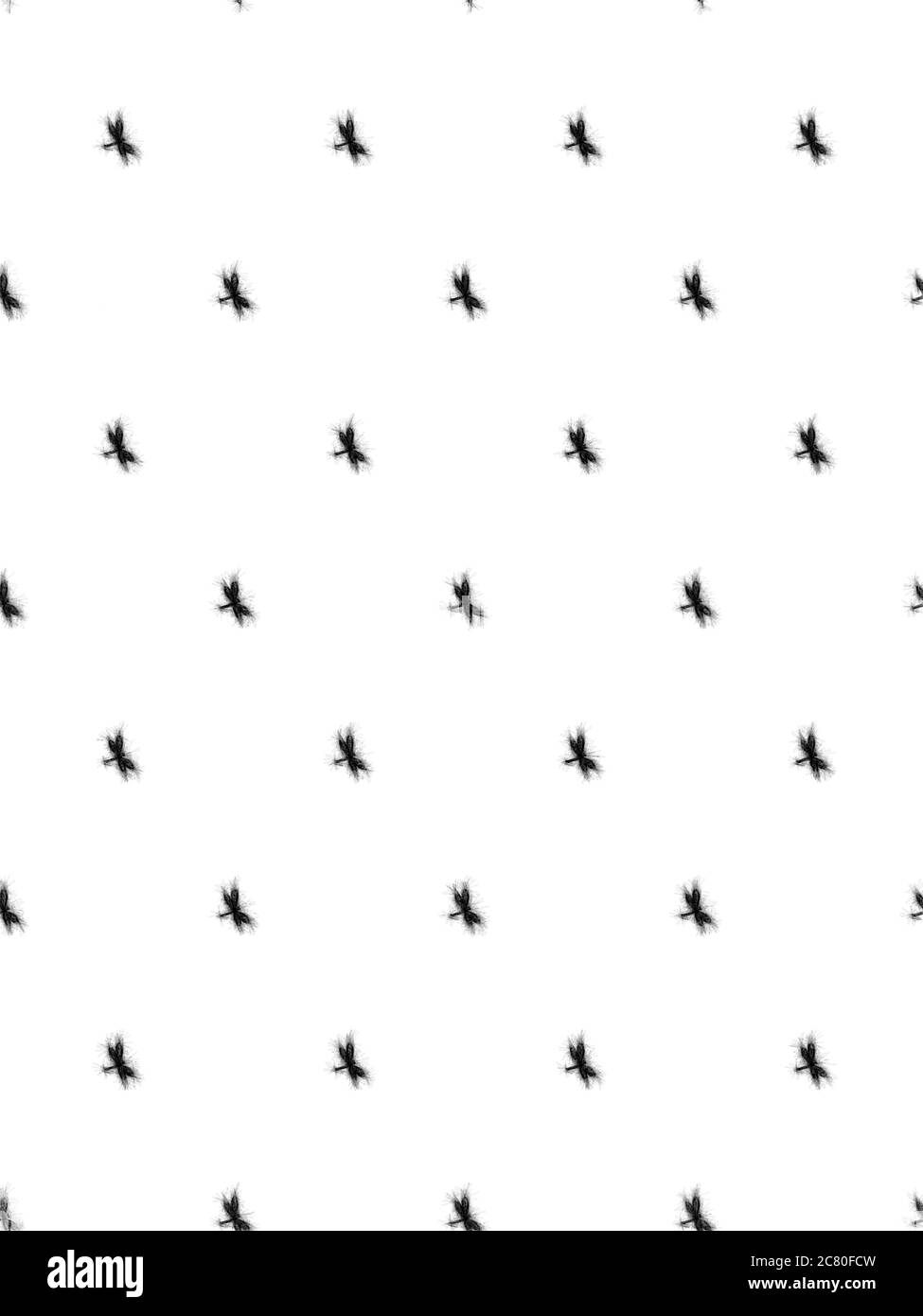 Black dragonfly pattern on white background Stock Photo