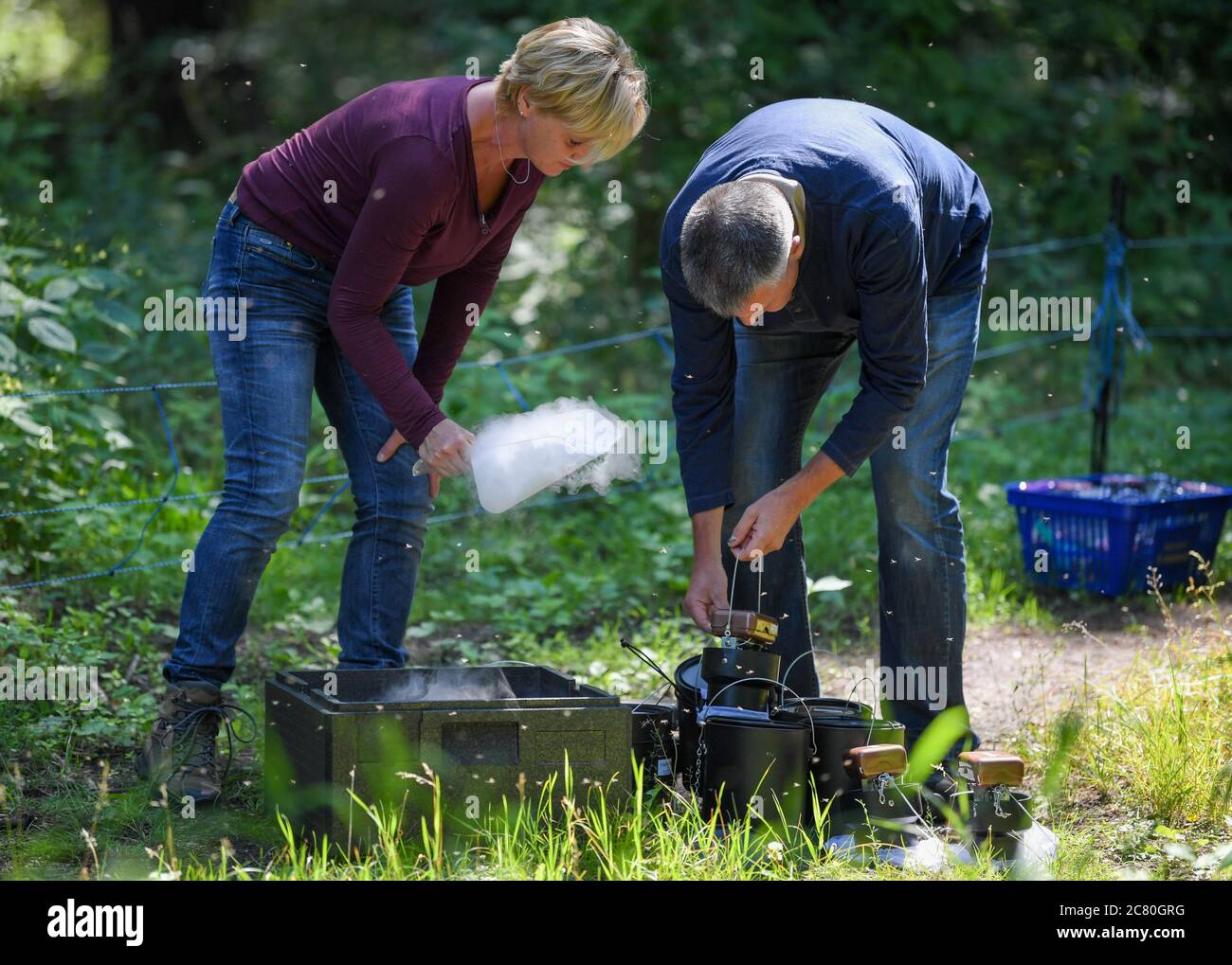 19 July 2020, Brandenburg, Frankfurt (Oder): Doreen Werner, biologist from the Leibniz Centre for Agricultural Landscape Research (ZALF) at the Institute of Land Use Systems AG Medical Entomology, and Helge Kampen from the Federal Research Institute for Animal Health Friedrich-Loeffler-Institute, have filled mosquito traps with dry ice in the alluvial forest of the city. Due to the slight flooding of the German-Polish border river Oder, large parts of the alluvial forest and adjacent meadows were flooded in recent weeks. The consequence is a high increase in the mosquito population in these ar Stock Photo