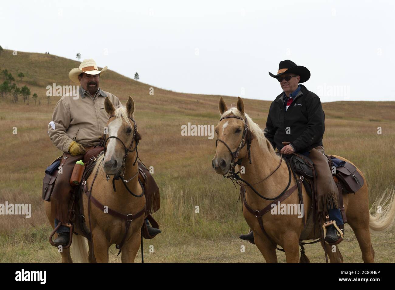 Custer national park buffalo bison roundup America South Dakota rider Stock Photo