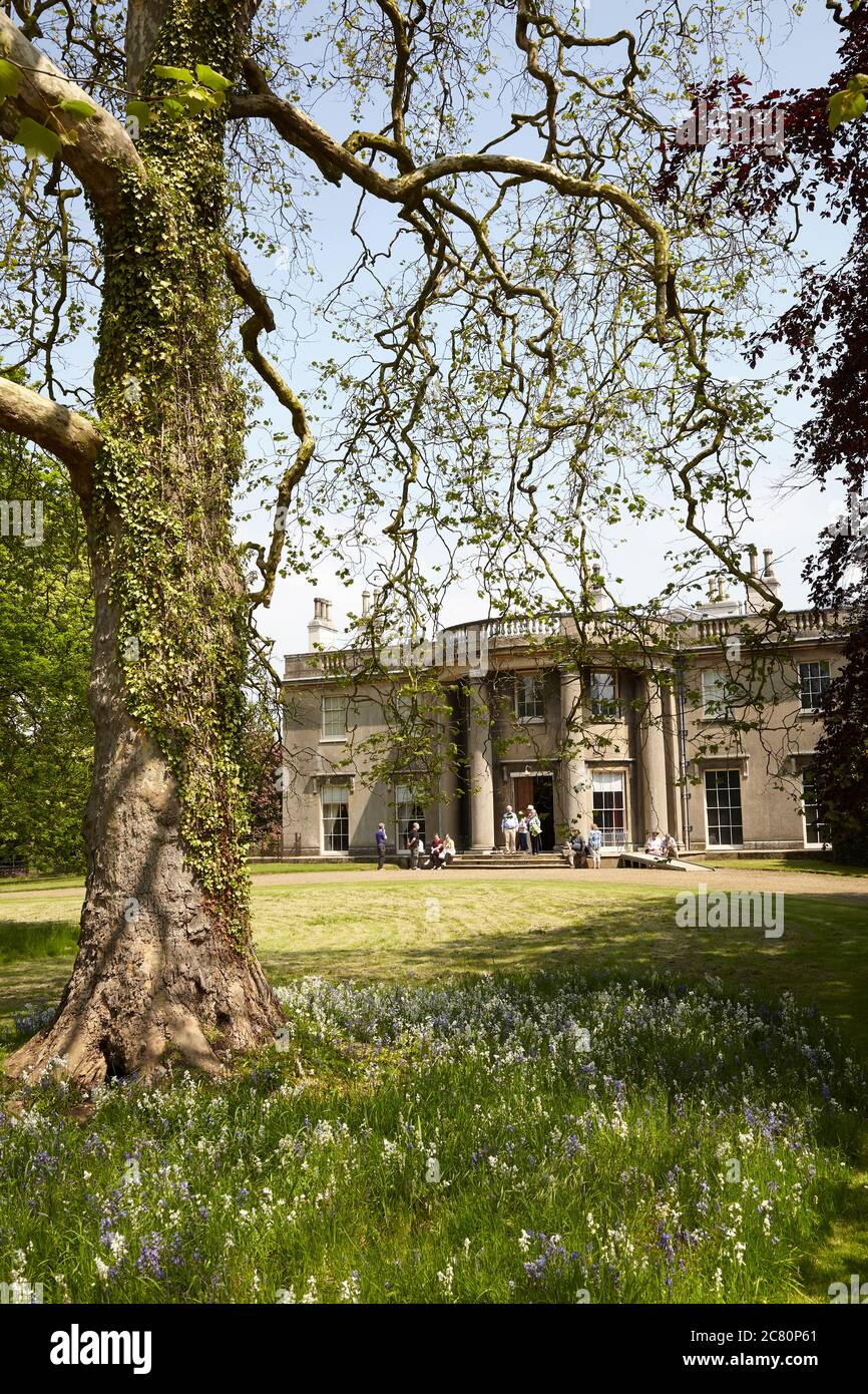 Visitors gathered outside the entrance door of  the regency country house Scampston Hall near Malton, North Yorkshire with plane tree in foreground Stock Photo