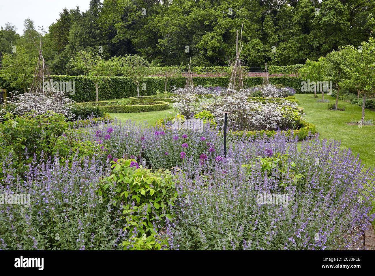 View of the Perennial Meadow, Scampston Hall walled garden designed by the dutch landscape designer Piet Oudolf Stock Photo