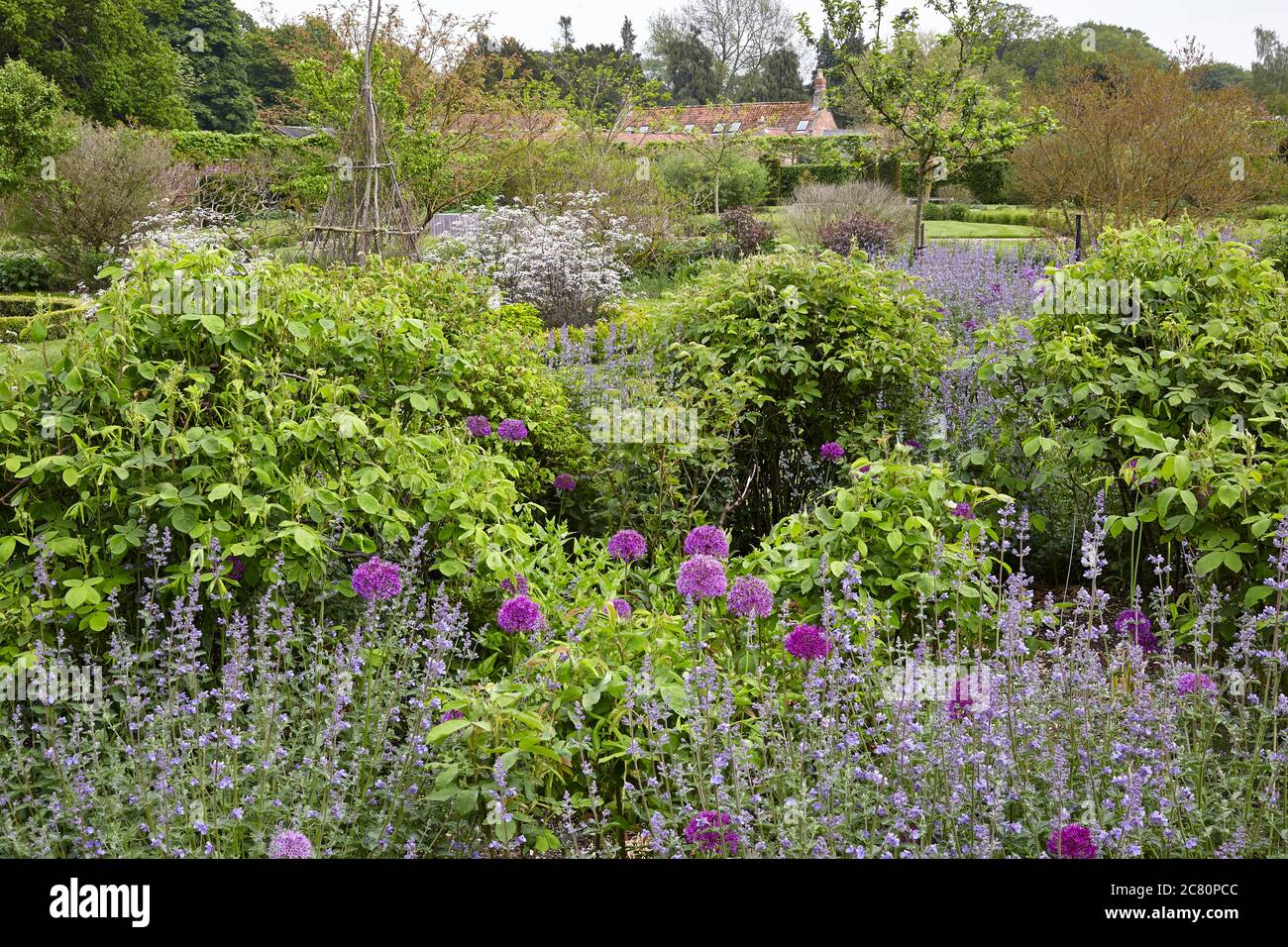 View of the Perennial Meadow, Scampston Hall walled garden designed by the dutch landscape designer Piet Oudolf Stock Photo