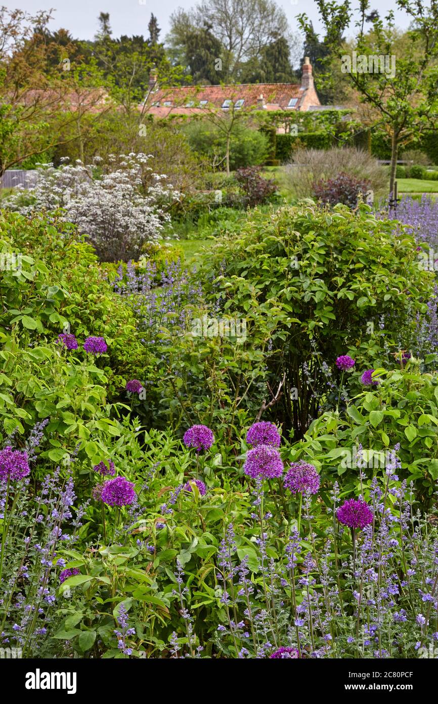 View of the Perennial Meadow, Scampston Hall walled garden designed by the dutch landscape designer Piet Oudolf Stock Photo