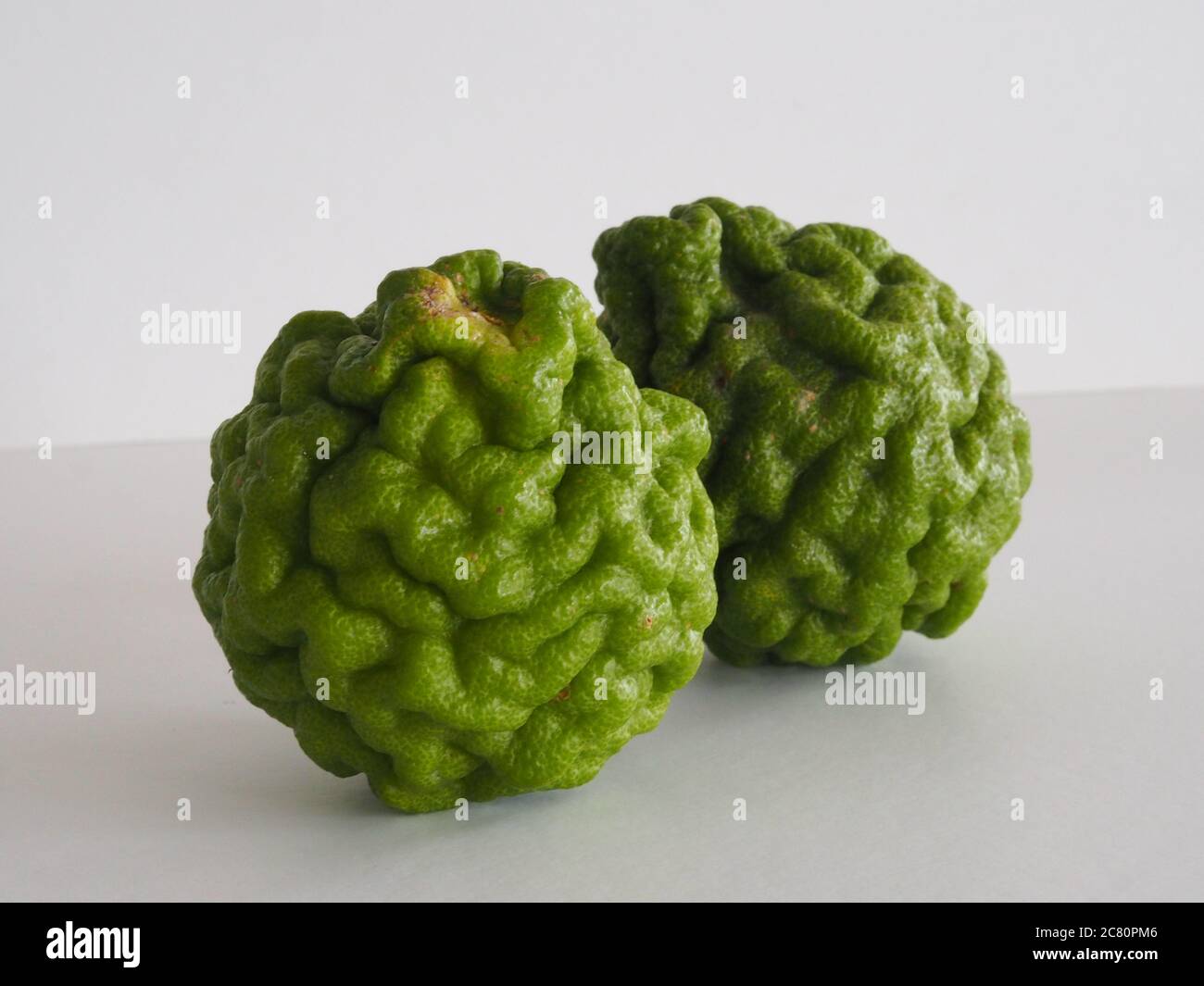 kaffir lime, Leech Lime Citrus hystrix DC Scientific name rough skin green vegetable on white background Stock Photo