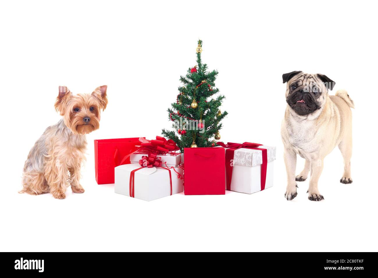 pug christmas presents