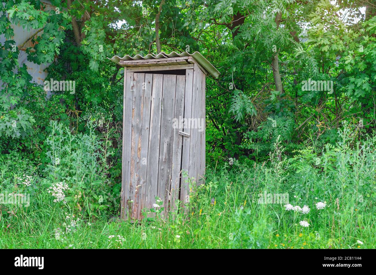 Old wooden toilet on the edge of forest on  background of green trees in grass Stock Photo