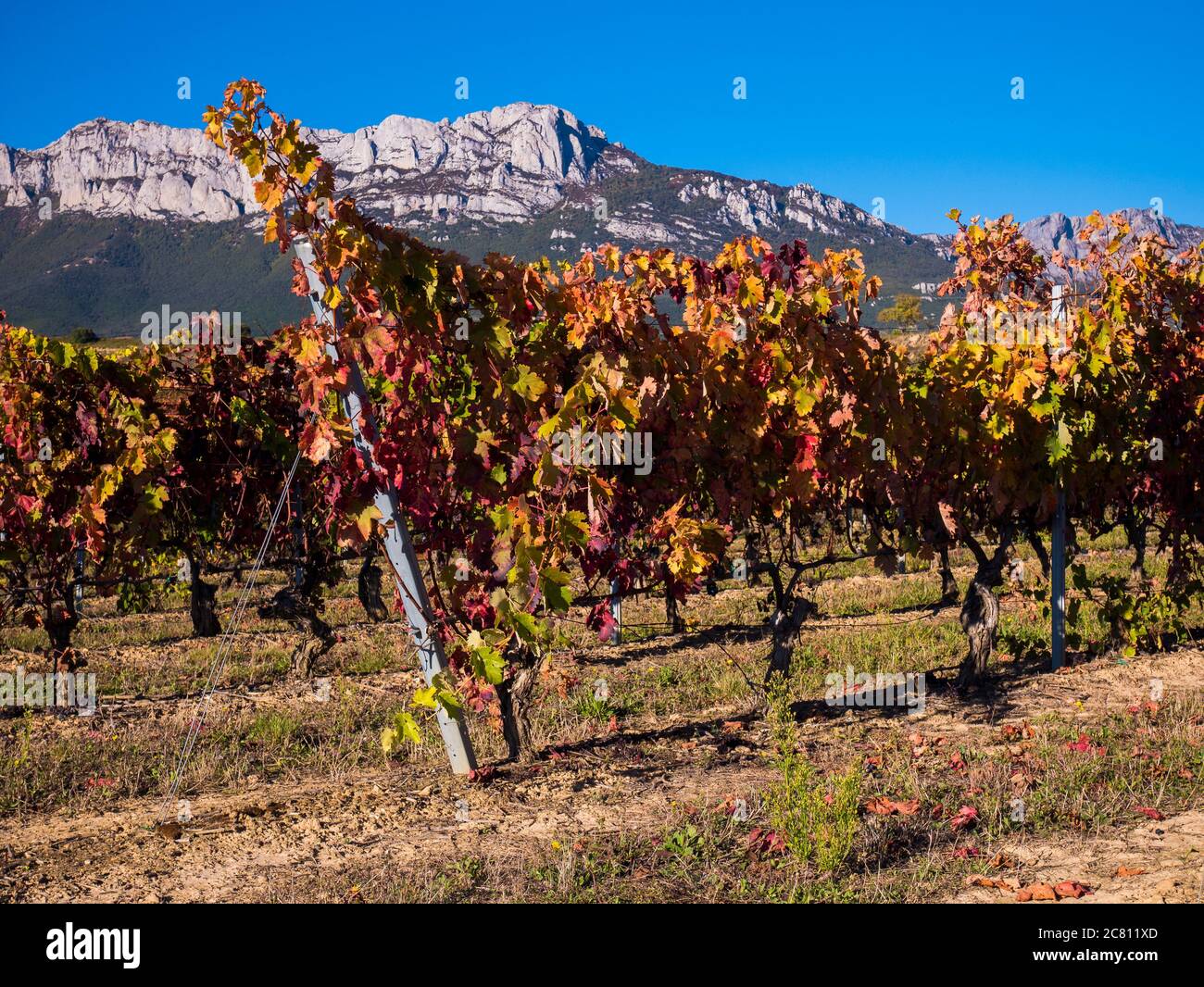 Paisaje con montanas hi-res stock photography and images - Alamy