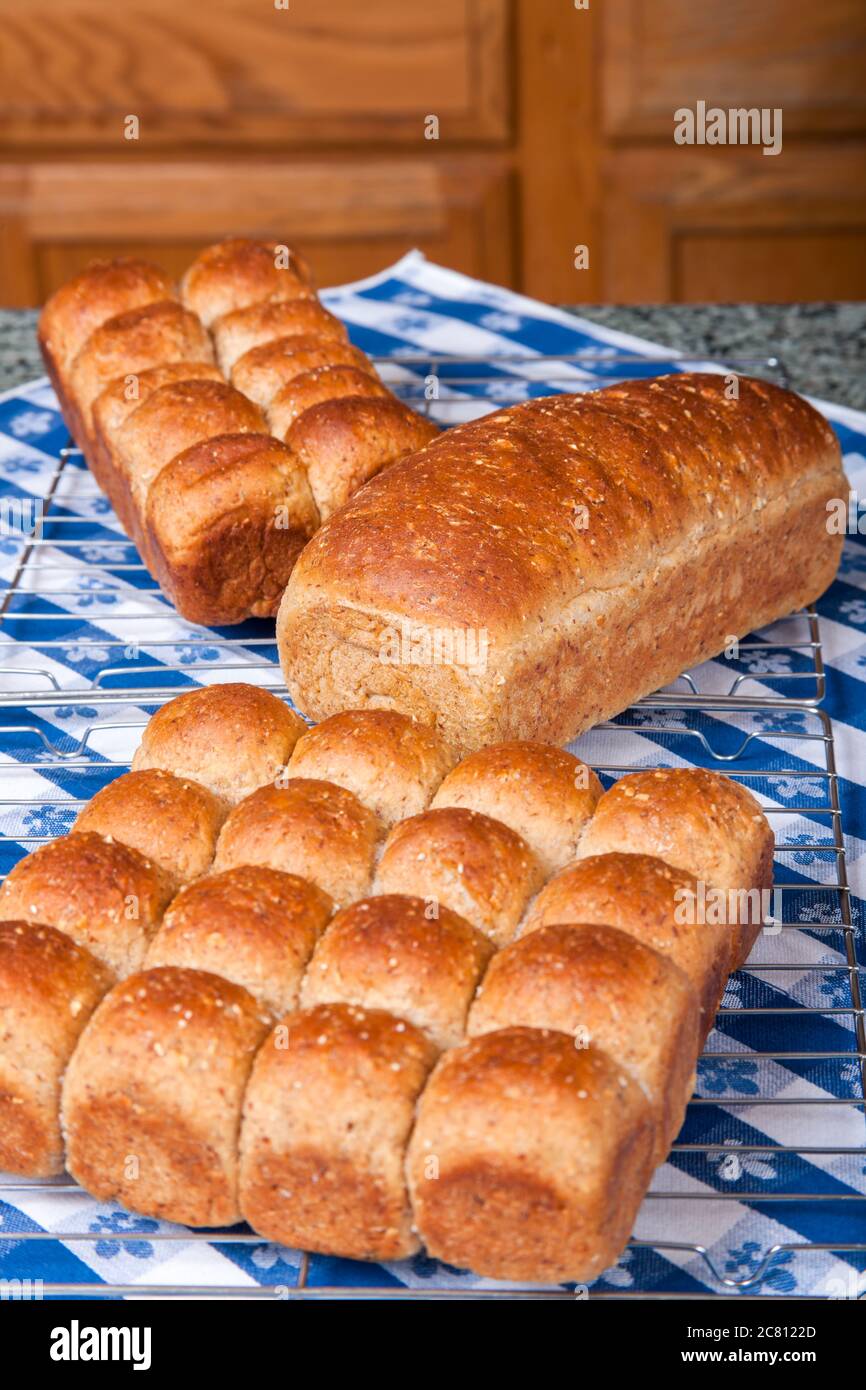 Multigrain rolls and loaf on cooling rack on counter covered by tea towel. Stock Photo