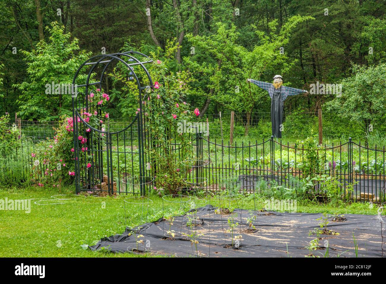 Kitchen garden protected by a wrought iron fence and a scarecrow, near Galena, Illinois, USA.  Black fabric mulch is used to keep the weeds under cont Stock Photo