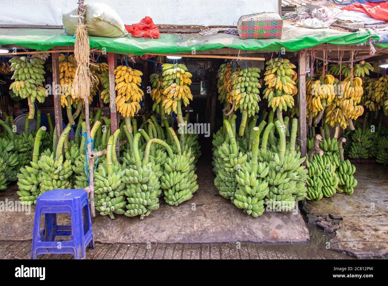 Banana bunches at the fruit market in Yangon, Burma, Myanmar Stock Photo