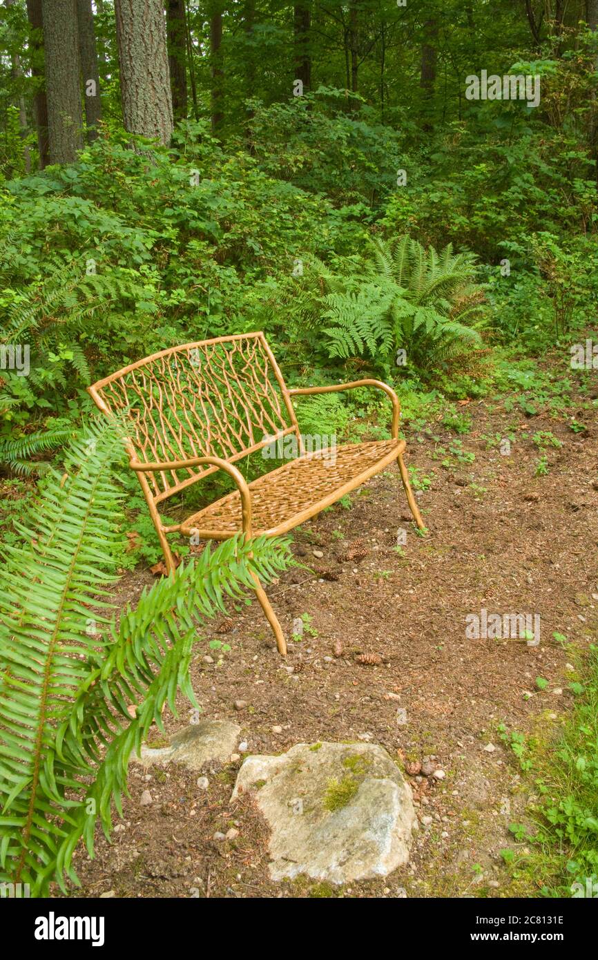 Decorative garden bench surrounded by Sword Fern and Bracken Fern in a shady yard in Issaquah, Washington, USA Stock Photo